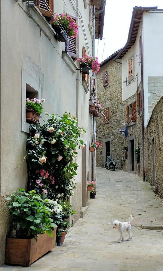Casa Agata, Accogliente Appartamento Nel Centro Storico Cortona Buitenkant foto